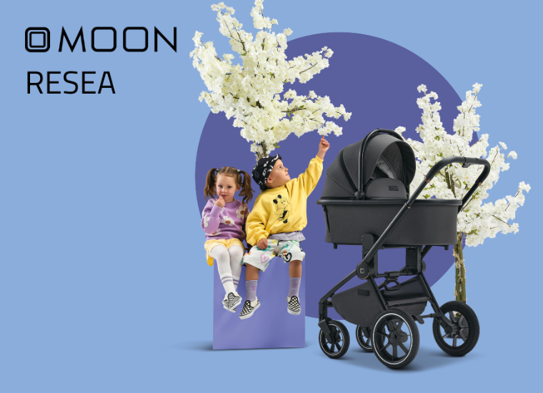 aa kategoria moon resea